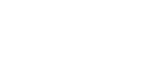 Virtual Regatta